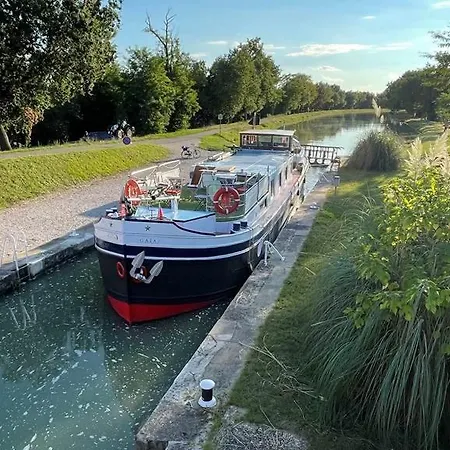 La Diane, Maison D'hotes, Guest house Montauban